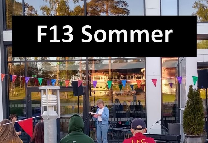 F13 Sommer